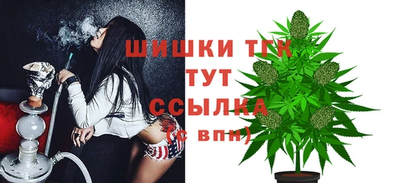 крисы Вяземский