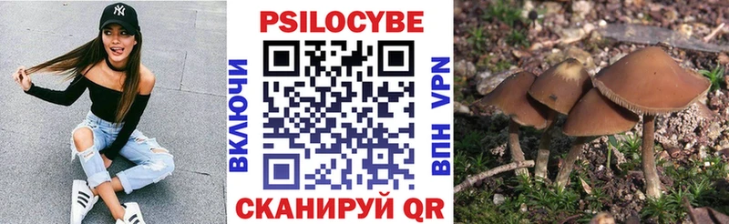Псилоцибиновые грибы Magic Shrooms  Купить где  Рыбинск 